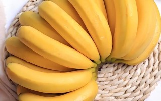 仓鼠可以吃哪些食物，可以吃小米、香蕉、桃子等