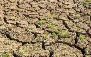 土壤酸化怎么改良，使用有机肥可调节酸碱值