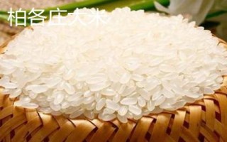 河北曲阳县的特产,曲阳烧饼是当地的传统名点
