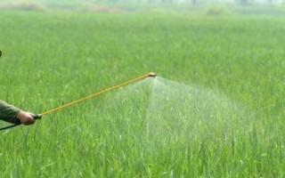 氟吡甲禾灵敏感的作物，对禾本科作物敏感