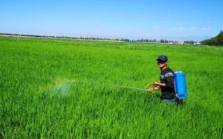 5克恶霉灵的兑水量，取决于使用方法