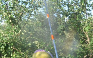 对果树使用农药的原则，选择正确的药物才能起到防效