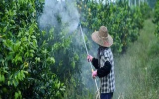 打农药的温度多少合适，农药的种类不同适合的温度不同