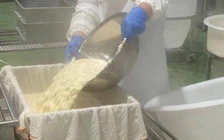 哪些项目比较好挣钱，种植食用菌一般能获得可观的效益