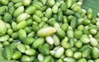 黄瓜有哪些品种，常见的有刺黄瓜、地黄瓜、白玉黄瓜等