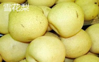 河北滦南县的特产,滦南花生被誉为东路花生