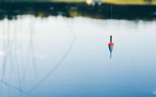 六月份能钓鲤鱼，六月份的垂钓效果比较好