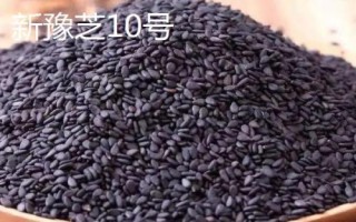 哪个品种的芝麻香,根据环境气候选择品种