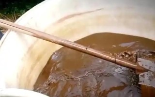沼液能直接用于水培蔬菜吗,不可以直接用于水培蔬菜
