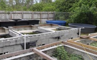 水泥池养黄鳝的水位，通常为20-30厘米左右