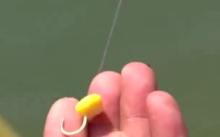 玉米钓鱼什么季节最好，从春季末期到秋季初期都适合