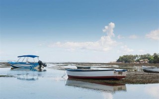 塞内加尔海域渔业资源丰富是什么原因，当地气温适宜
