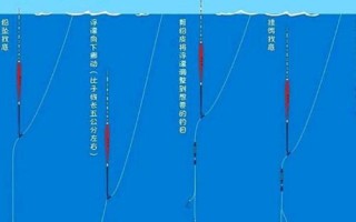 用蚯蚓钓鱼时应该如何调漂，可采用加铅、找底、剪铅等方式