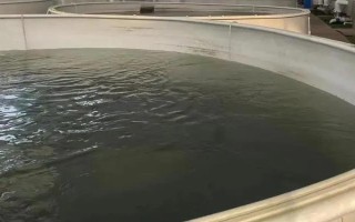 夏季水产养殖技术，每次注水深度保持在12-14厘米左右