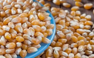 干玉米生虫用什么药，可选择磷化铝熏蒸杀虫