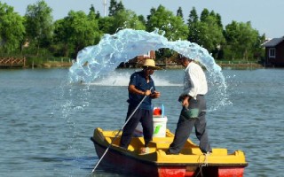 夏季水产养殖技术，每次注水深度保持在12-14厘米左右