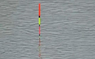 用手竿垂钓鲢鳙如何调漂，先重铅找底、再修剪铅皮直至浮漂露出1-2目