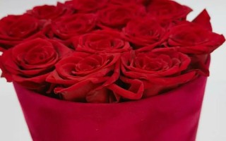 永生花能保存多久，可以保存7-15天