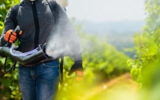 葡萄毛毡病的发生特点，叶片上会出现苍白色病斑