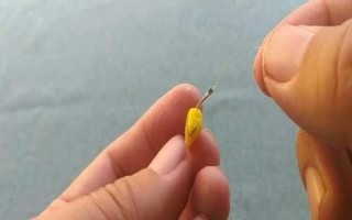 钓草鱼要用什么东西泡制玉米粒,可用蜂蜜、高度曲酒进行泡制