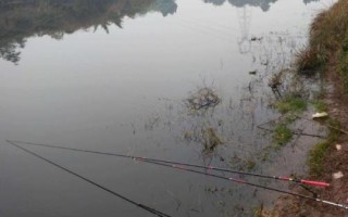 野钓如果水底有水草怎么办，适当减轻铅皮、饵料的重量
