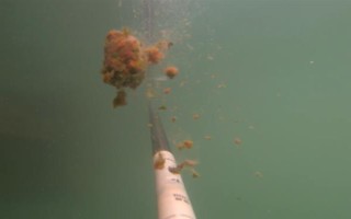 搓饵拉丝粉的比例，搓饵拉丝粉的比例要控制在5%以内