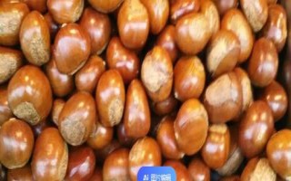 农产品的新产品是指什么，指由新原理、新技术、新结构所制造出的产品