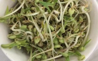 维生素不足时该怎么配饲料,把精饲料发酵喂畜禽