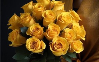 黄玫瑰的花语，寓意已逝的爱、等待的爱等