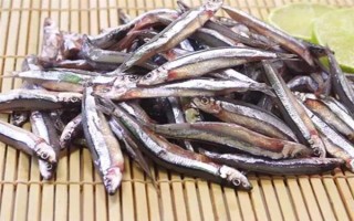 丁香鱼是什么鱼,也叫小银鱼、抽条等