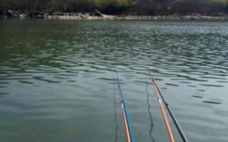 翘嘴一般在水域中的什么位置，常在水面宽、水草多的地方栖息