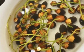 碗莲的水培方法，将种子播入花土中再浇水淹没