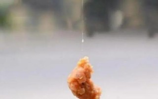 如何用蚯蚓钓鲫鱼，注重打窝和蚯蚓的鲜活性