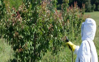 甲维盐是什么农药，是一种新型高效半合成抗生素杀虫剂