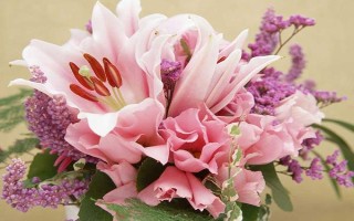 生日适合送什么花,赠送的对象不同选择的花卉不同