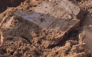 盆栽橡皮树用什么土，使用腐叶土、园土、河沙混合配制盆土