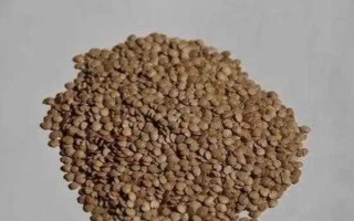 茄子病害及防治方法，常见的病害有猝倒病、褐纹病等