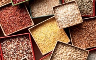 粮食种子储存要求,中国主要进口小麦、玉米、大豆、大米等