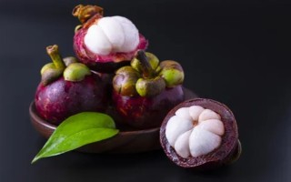 山竹长在哪里，是长在树上的