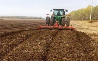 香菜催芽播种的方法，根据当地的气候环境选择合适的品种