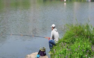 早春降温后几天能钓鱼，刚降温则不适合垂钓