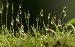 2024年寒露是哪一天，2024年10月8日