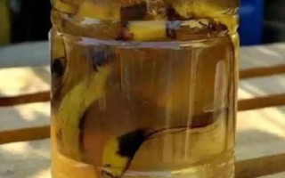 怎么把水果皮做成花肥,洗净切碎后装入容器中发酵