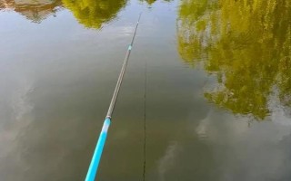 钓鱼好不好钓,与天气、饵料、钓点等相关