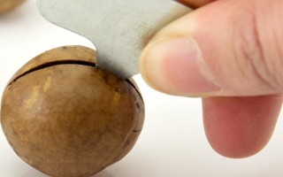 夏威夷果的打开方法,将开果器插入果实的开口处、用力旋转后即可掰开外壳