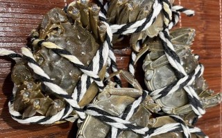 大闸蟹有哪些形态特征，头胸甲为圆方形