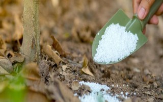 磷肥施用方案，要因土施用