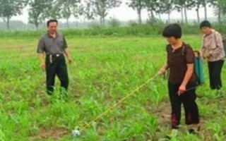 玉米苗后除草剂多久能吸收，需要2-6个小时的吸收过程