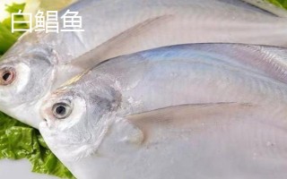 白鲳鱼怎么做,主要有以下2种方法
