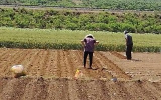 忙种地是什么时间,是每年的6月5日